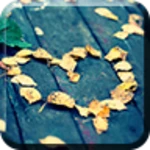 fallen in love android application logo